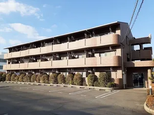 グランディールFの画像