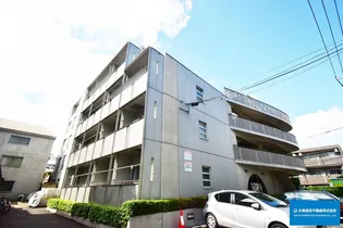 コートシルバーストーンの画像