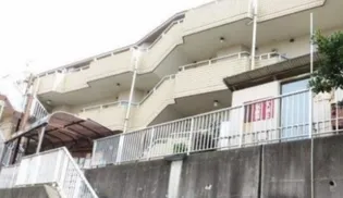 スターダスト向ヶ丘A棟の画像