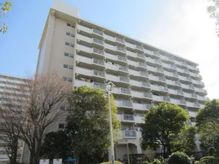 清新プラザ4号棟の画像