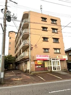 エクセル竹尾の画像