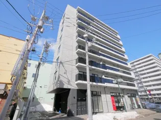 TIGER BLD 24の画像