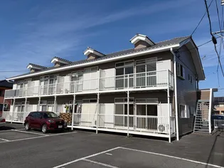 ラベンダーの画像