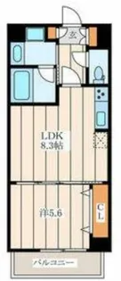 ROOTS(ルーツ)【4階】の間取り