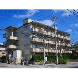 フェニックスの画像