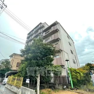 ロイヤルメゾン羽衣の画像