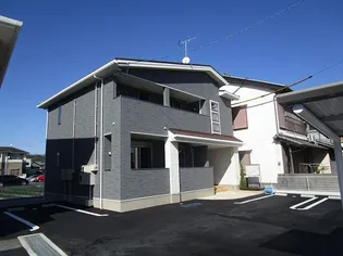 コキアの画像