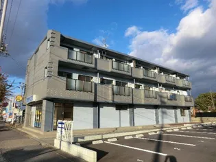ハイグレージュMの画像