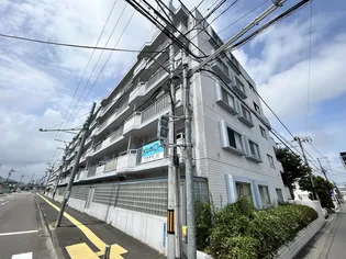 ロイヤルヒルズ大和町の画像