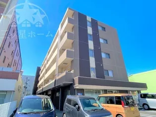 パシフィック葵の画像