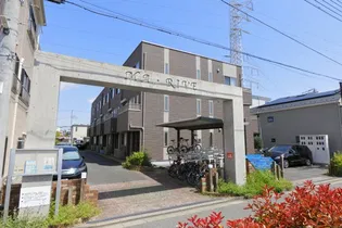 MARIVEの画像