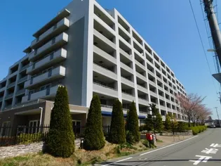 パークアベニュー八乙女ビューステージの画像