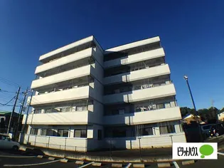 スカイピュア【1階】の外観