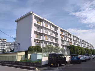 白幡西住宅2号棟の画像