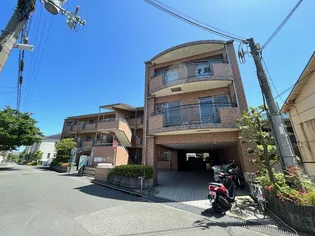 NLバルビゾンスカイの画像