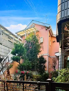 サンフラッツの画像