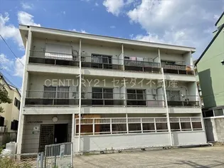 ドラゴンハイツ11の画像