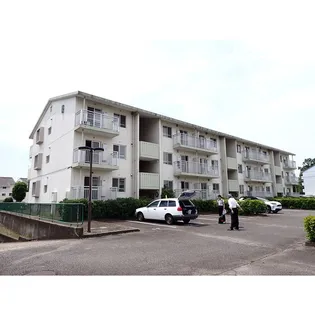 竜ケ崎ハイツBの画像