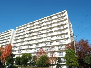 入船西エステートの画像