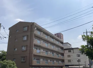 ノーブルコートの画像