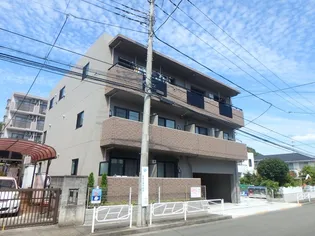 ビオラの画像