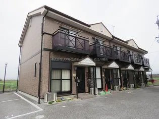 BELLESHINEの画像