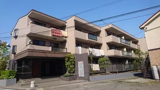 鷺沼ドルチェヴィータの画像