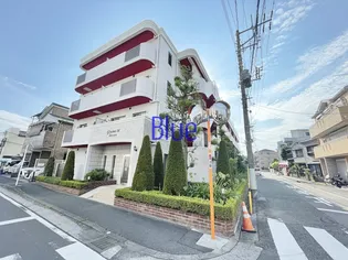 グリシーヌ Mの画像