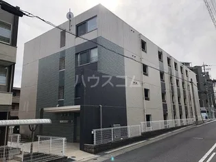 グリーンリーフの画像