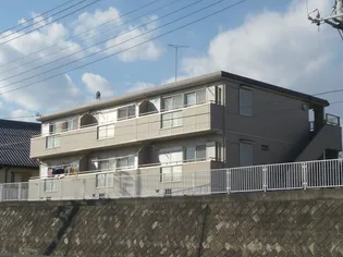 シュガーハイツの画像