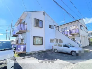 タウニーホワイトベルの画像