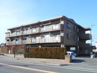 ソシア丸山の画像