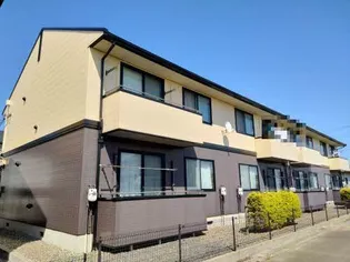 新潟県新潟市西区坂井1【アパート】の外観