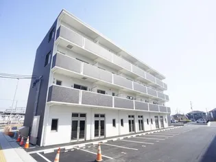 PALM TREE IIの画像