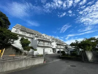 メゾン三ツ池公園の画像