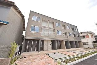 セルソーレの画像