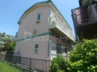 ロイヤルパームの画像