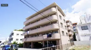 アルバ21の画像