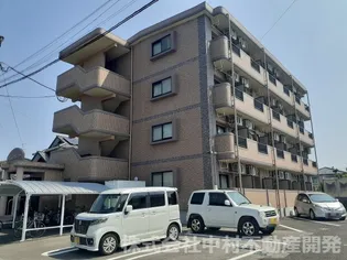 ROUND PURE 21の画像