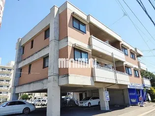 カーサ オクシブシライタの画像