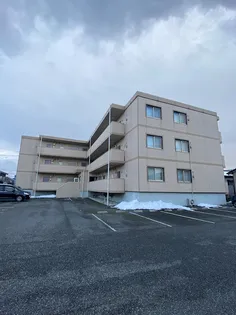 グラシアの画像