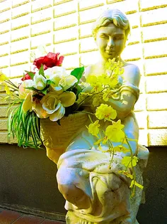 ピアネーズ中山の画像