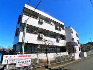 野崎ハイムの画像