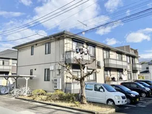 カメリアBの画像
