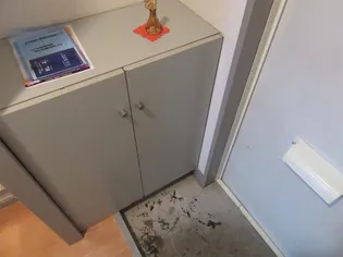 コンフォート木花 A棟【1階】の玄関