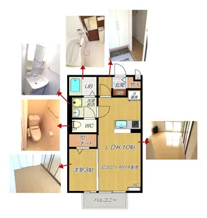 コートHiguchi(ヒグチ)【2階】の間取り