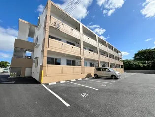 プランドールの画像