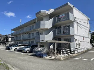 メイフラワー近藤の画像