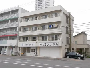 北海道札幌市中央区北二条西25【マンション】の外観