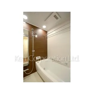 ザ・パークハウス西新宿タワー60【23階】の風呂